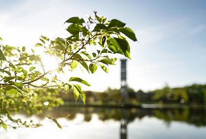 Women’s, Gender, and Sexuality Studies