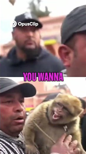 Master the Backflip Your First Flip Explained! #ishowspeed #speedyp #speed