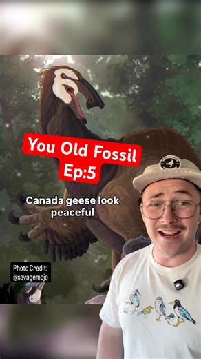 You Old Fossil EP:5 #dinosaur #paleontology #fossil #prehistory #sciencefacts