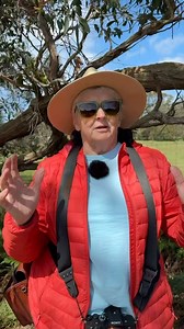 10K views · 136 reactions | Learn to see your shutter speed inside...