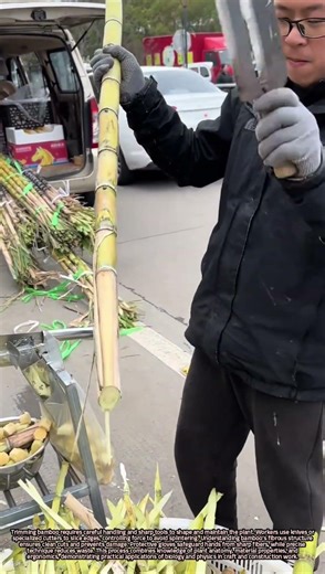 Techniques and Safety for Precisely Trimming Bamboo Edges with Knives