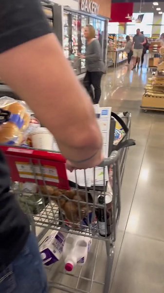 Make Grocery Shopping Fun – A Day at King Soopers with a Joyful Haul!