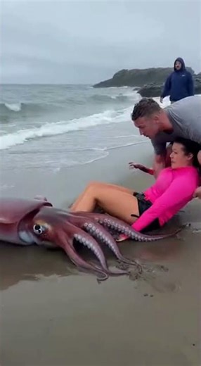 Real Life Sea Monster Attack Caught on Camera #Shorts