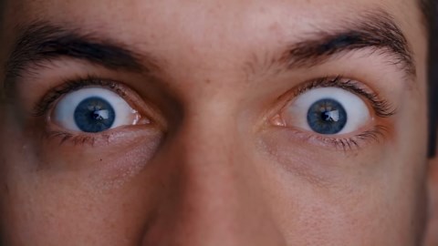 Wild Cat and Grandma’s Unbelievable Bond: Scientists Reveal What’s Truly Amazing