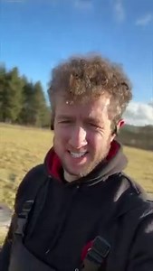 21K views · 697 reactions | Full service history. One careful owner.  | The Sheep Game | Facebook