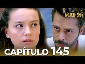 Omer Sueños Robados | Capítulo 145