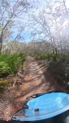 Time to take the golf cart off road 🌳🛺💚 #golfcart #explore #pov #insta360 #offroad