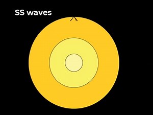 There are 3 common variations of S-type seismic body waves. All are shear waves that travel in all directions away from the epicenter of an earthquake. The different phases show how the initial S wave changes when encountering boundaries in the Earth. Learn more: https://loom.ly/ce9PJ74 | EarthScope Consortium