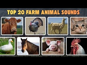 Relaxing Farm Animal Sounds – Cow, Dog, Rooster, Horse, Duck, Cat, Turkey, and More !