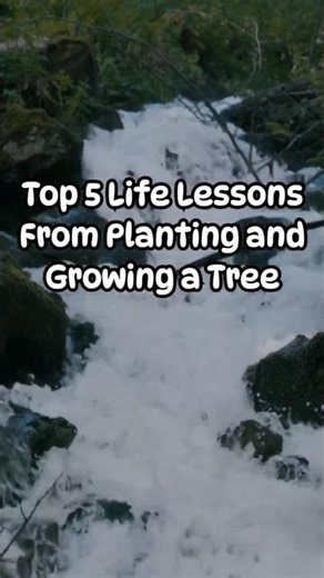 Top 5 Life lessons from planting and growing a tree #motivation