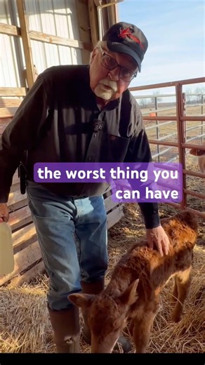 NO MORE SCOURS: here's how