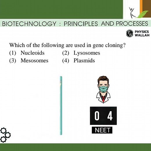 Biotechnology principles and processes class 12 #neet #neet2024