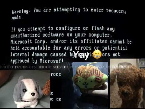 Windows ￼Longhorn Kill Screen ￼￼￼but my three dogs 🐶🐶🐶 want to see It