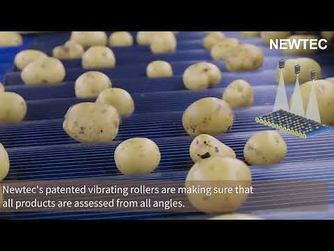 Newtec Celox-P-UHD - Optical Grading of Potatoes