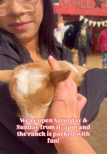 ☀️ PERFECT weather in Las Vegas!!!Who’s ready for an epic family weekend? 🙌 McKee Ranch is open every Saturday & Sunday from 11–4pm and it’s PACKED with: 🐴 Horse & pony rides ~ $10 & $5 🚂 Train rides for explorers ~ $2 🐐 Petting feeding animals 🥕 Carrots to feed animals ~ $3 🍿 Affordable Snack Shack treats 🛍️ Local market finds 🛝 Playgrounds for little adventurers Tag your friends, load up the car, and let’s make it a ranch weekend to remember 🤠💛 📍 The Mckee Ranch ~ 8982 Dean Martin D