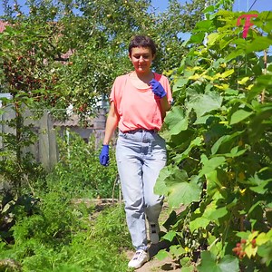 1M views · 1K reactions | Useful tricks for managing a vegetable garden and protecting it from pets | Fabiosa Australia | Facebook