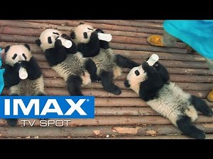 Pandas IMAX® TV Spot