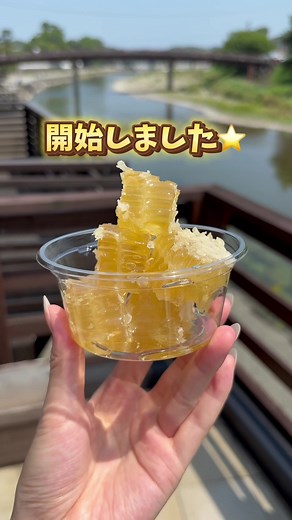 蜂の巣量り売り開始！三重県のおいしいハチミツ