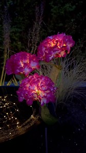 Dekorative Hortensia med solceller KUN 89 kr.😍 Lades op via solceller. Jordspyd medfølger. Køb direkte her: https://viamaja.dk/collections/blomster-med-solceller | Viamaja.dk