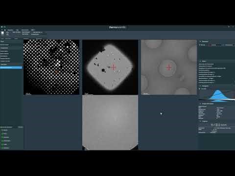 EPU Multigrid: Collecting Data from Multiple Grids in a Single Session
