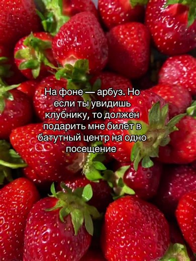 rabbit.semey (@rabbit.semey)’s videos with original sound - Spotify_lyrics
