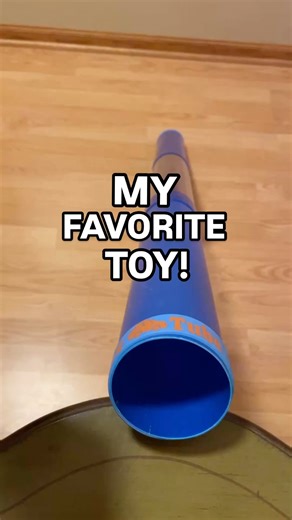 Tara Phillips on Instagram: "Drop the words “tot tube” into the comments and I’ll send you the link! I ❤️ this Tot Tube! Keep reading, and I’ll tell you why! This is a perfect activity for kids to dump and throw toys. It’s a fun “put in “activity that helps move the child from exploratory play into more functional play. Kids still get the sensory aspect of the objects dropping and making noise but we are planting the seeds for one step play actions. Here are a few tips to use along with the Tot 