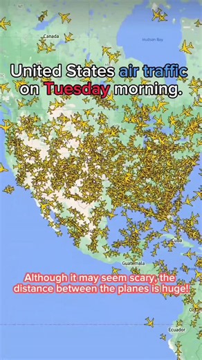 3.5K views · 5K reactions | United States air traffic on Tuesday morning | Flight and routes Every day | Facebook