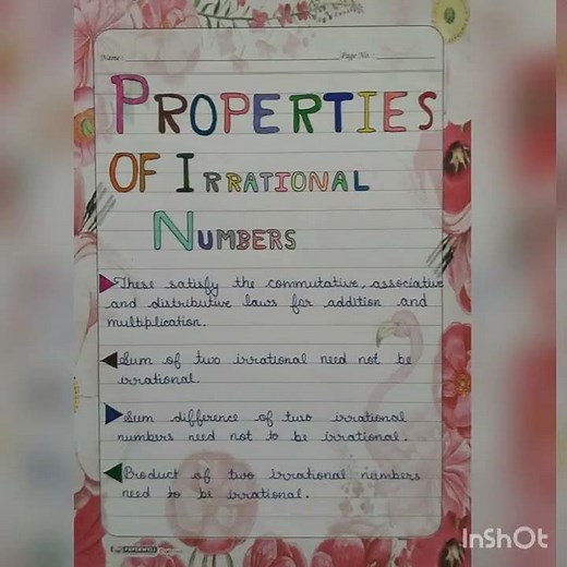 Class 9th || Mathematics || Number System || project file ||