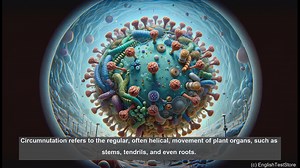 Circumnutation in biology