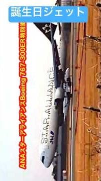 🔴伊丹32L 轟音 唸るランディング！ANAスターアライアンスBoeing 767-300ER特別塗装機