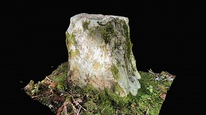 borNE.CERN-CSTM.i - Download Free 3D model by clwacker