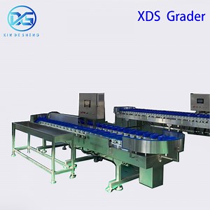 [Hot Item] Fish Weight/Size Sorting Machine, Intelligent Seafood Grading Equipment