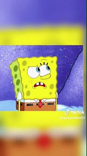SpongeVibes on TikTok