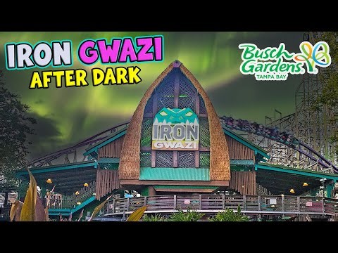 Iron Gwazi AFTER DARK On-Ride POV at Busch Gardens Tampa Bay (Jan 2026) [4K]