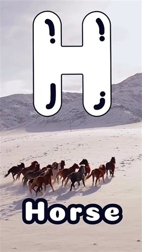 H is for Horse  ABC Learning for Kids  Fun  Shorts