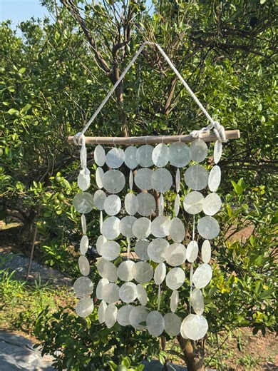 Capiz Shell Wall Hanging, Sea Shells Wall Art, Boho Shell Wall Accent, Headboard Wall Decor, Shell Decor, Boho Beach House Art - Etsy