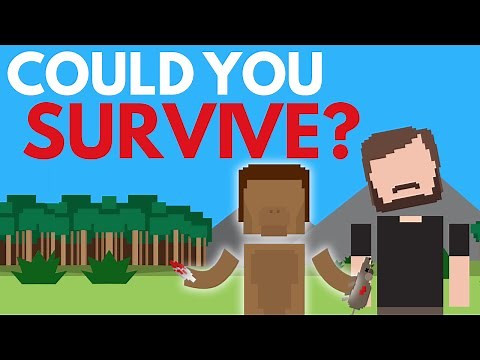 Could You Survive 2.5 Million Years Ago?