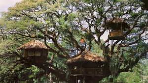 Watch Swiss Family Robinson 1960 full movie on Fmovies