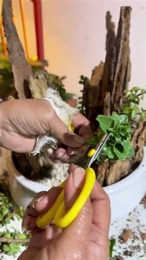🌿 You Won't Believe This Stunning Mountain Landscape Is Made from Tree Bark! ⛰️✨