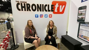 Deb Cooper chats with Morgan Miller about her Junior Showmanship judging assignment. #tabletalklive #caninechroniclemagazine #caninechronicle #caninechronicletv #debcooper #thecaninechronicle | The Canine Chronicle