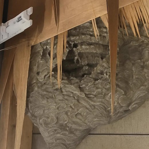 123K views · 106 reactions | RECENTLY, UNUSUAL EVENTS BEGAN OCCURRING...