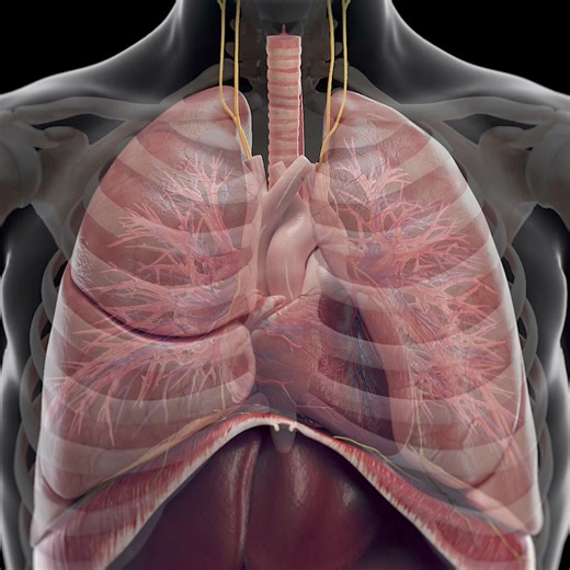 41K views · 941 reactions | Use your breathing to control your heart...