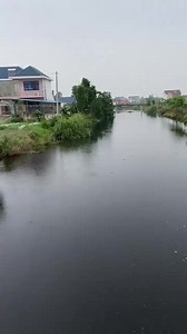 40K views · 802 reactions | All kinds of fish | Sa Vuth KH | Facebook