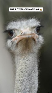 13K views · 2.4K reactions | The Power of Masking! ✍️ ⬇️ Want to...