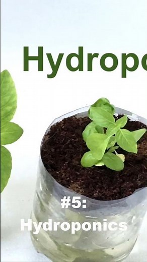 10 Best 6th Grade Science Projects