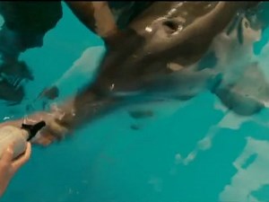 Dolphin Tale - I Know You Feel Lousy