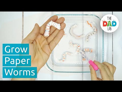 Cool Paper Worms Science Activity for Kids on Halloween