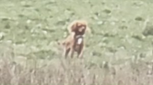 1.1M views · 2.7K reactions | We’ve released video footage showing a...