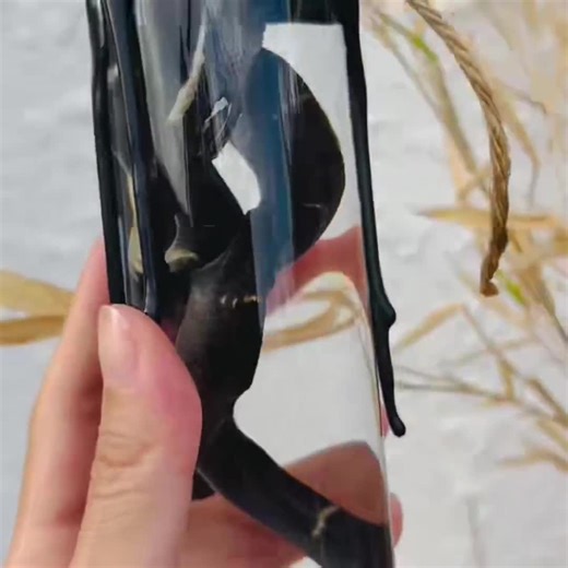 Real Cobra Wet Specimen in Jar Taxidermy Oddity Curiosities Decor, Natural History, Goth, Handmade Gifts - Etsy