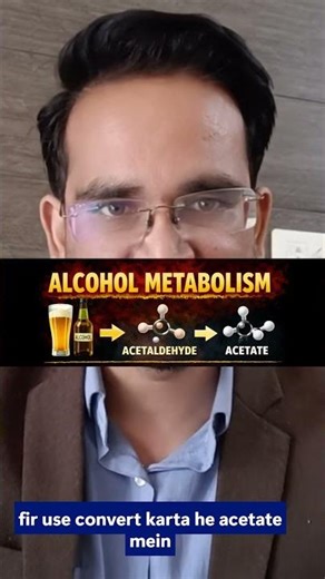 “How Alcohol Destroys Your Liver | What Happens Inside Your Body”